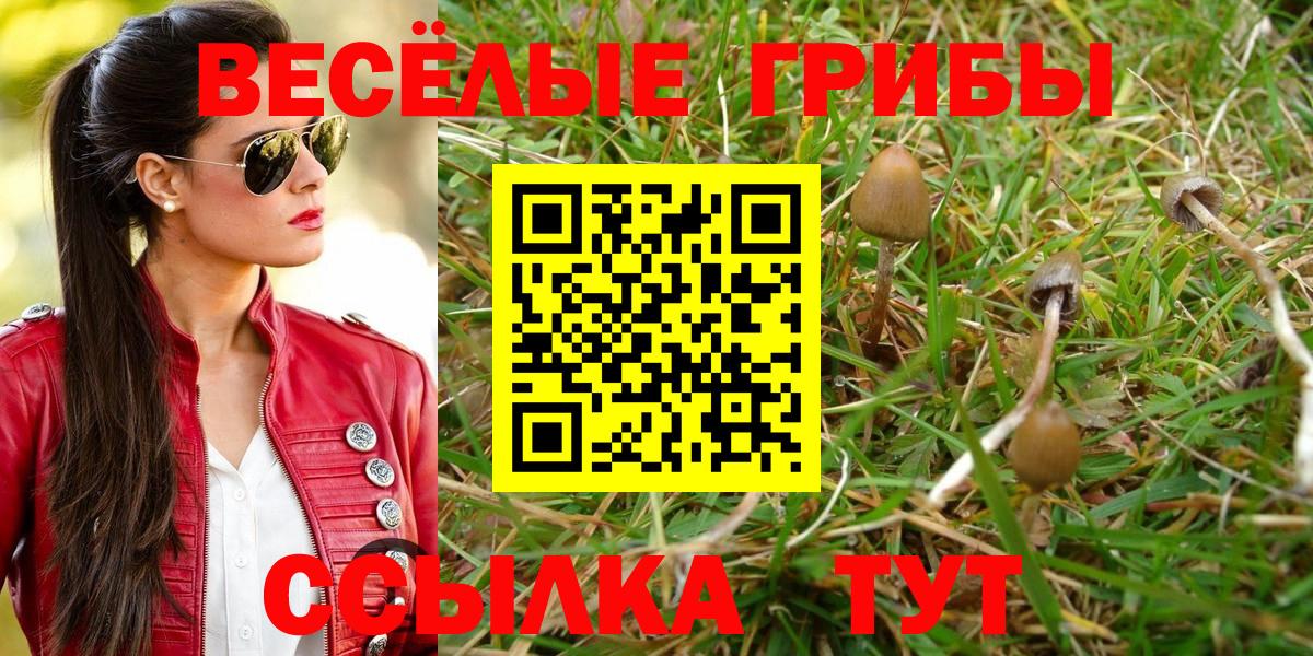 Галлюциногенные грибы мицелий  Галлюциногенные грибы Magic Shrooms  Вход с VPN  цены наркотик  Киселёвск 
