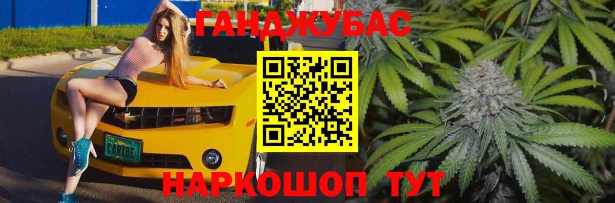 Конопля сатива Киселёвск